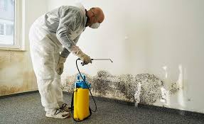 Professional Mold Inspection in Lakewood Clu, MI